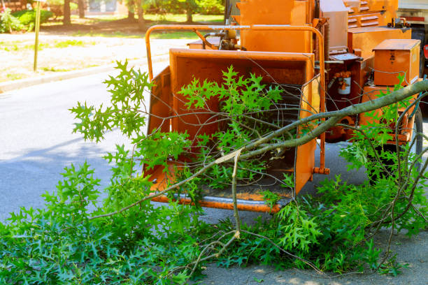 Organic Lawn Care Solutions in Luverne, MN